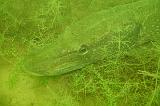 2009-08-29 14-25-10L